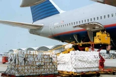 Dịch vụ Hàng hóa Nội Bài tạm ứng cổ tức tỷ lệ 30%