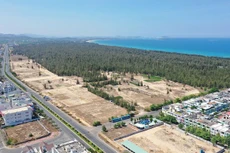 Tài sản đấu giá là quyền sử dụng đất thuộc Dự án Khu dân cư đô thị liền kề phía Bắc đường Trần Phú, TP. Tuy Hòa (đợt 1 - giai đoạn 1) có 158 lô đất với tổng diện tích 21.187,5 m2