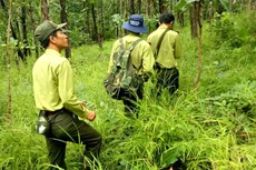 Gói thầu Mua sắm trang phục kiểm lâm phục vụ công tác quản lý và bảo vệ rừng do Khu bảo tồn Thiên nhiên Văn hóa Đồng Nai làm chủ đầu tư. Ảnh: Văn Khương