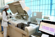 Ảnh minh họa: Internet