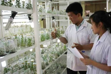 Điểm tin kế hoạch lựa chọn nhà thầu một số gói thầu lớn ngày 1/7