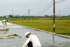 Công ty CP Đầu tư xây dựng Hải Long được công bố trúng 67 gói thầu trên địa bàn tỉnh Bắc Giang từ tháng 4/2016 đến nay với tổng giá trúng thầu hơn 513 tỷ đồng. Ảnh: Nhã Chi