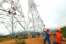 Sông Đà 11 trả cổ tức tổng tỷ lệ 30%