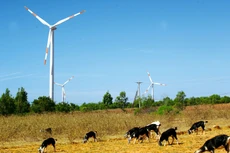 Các dự án năng lượng tái tạo bùng nổ mạnh mẽ nhưng thiết bị chủ yếu phải nhập khẩu. Ảnh: Lê Tiên