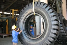 Cao su Đà Nẵng công bố lợi nhuận quý II/2020 giảm hơn 39%