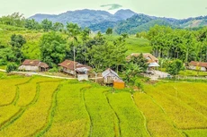 Ảnh minh họa: Internet