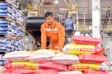 Nhà máy NPK Phú Mỹ sản xuất thành công thêm 6 công thức sản phẩm mới.