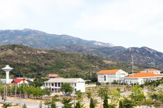 Ngày 23/12/2019, đấu giá quyền sử dụng đất tại huyện Thuận Bắc, tỉnh Ninh Thuận 