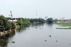 Ảnh chỉ mang tính minh họa. Nguồn Internet