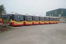 Ảnh chỉ mang tính minh họa. Nguồn Internet