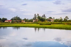 Ngày 21/12/2019, đấu giá quyền sử dụng đất tại huyện Triệu Phong, tỉnh Quảng Trị 