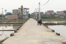 Ngày 30/12/2019, đấu giá quyền sử dụng đất tại huyện Thanh Oai, Hà Nội