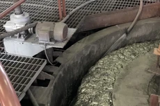 Ảnh chỉ mang tính minh họa. Nguồn Internet