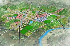 Ngày 29/11/2019, đấu giá quyền sử dụng đất tại huyện Hậu Lộc, tỉnh Thanh Hóa