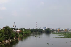 Ảnh chỉ mang tính minh họa. Nguồn Internet