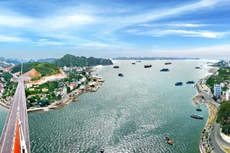 Ảnh minh họa: Internet