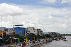 Ngày 29/11/2019, đấu giá quyền thuê quỹ đất tại huyện Hồng Ngự, tỉnh Đồng Tháp