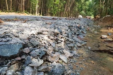 Ảnh chỉ mang tính minh họa. Nguồn Internet