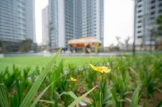 Ảnh chỉ mang tính minh họa. Nguồn Internet