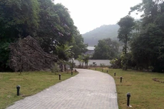 Ngày 14/11/2019, đấu giá quyền sử dụng đất, quyền sở hữu nhà ở và tài sản khác gắn liền với đất tại huyện Lương Sơn, tỉnh Hoà Bình