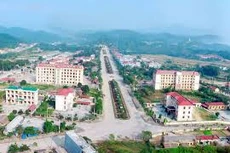 Ngày 26/12/2019, đấu giá quyền sử dụng đất tại huyện Yên Bình, tỉnh Yên Bái 