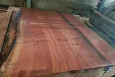 Ngày 22/11/2019, đấu giá tài sản thu hồi và tài sản là vật chứng vụ án tại tỉnh Bắc Kạn