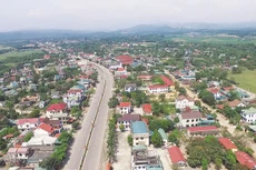 Ngày 5/12/2019, đấu giá quyền sử dụng đất tại huyện Cam Lộ, tỉnh Quảng Trị