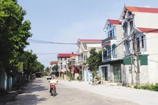 Ảnh chỉ mang tính minh họa. Nguồn Internet