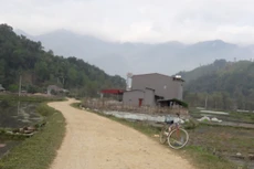 Ngày 12/12/2019, đấu giá quyền sử dụng đất tại huyện Bạch Thông, tỉnh Bắc Kạn