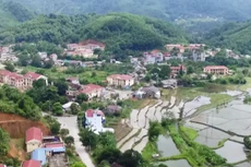 Ngày 29/11/2019, đấu giá quyền sử dụng đất tại huyện Pác Nặm, tỉnh Bắc Kạn