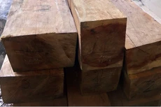 Ngày 27/11/2019, đấu giá tài sản vị phạm tịch thu sung quỹ tại tỉnh Khánh Hòa