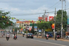 Ngày 13/1/2020, đấu giá quyền sử dụng đất tại huyện Krông Năng, tỉnh Đắk Lắk 