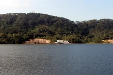 Ảnh chỉ mang tính minh họa. Nguồn Internet