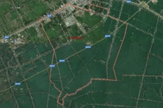 Ảnh chỉ mang tính minh họa