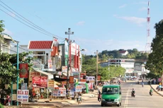 Ngày 18/12/2019, đấu giá quyền sử dụng đất tại huyện Krông Nô, tỉnh Đăk Nông