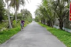 Ngày 9/1/2020, đấu giá quyền sử dụng đất tại huyện Cai Lậy, tỉnh Tiền Giang