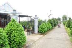 Ngày 12/12/2019, đấu giá quyền sử dụng đất tại huyện Cao Lãnh và huyện Tháp Mười, tỉnh Đồng Tháp