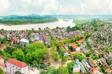 Ngày 22/11/2019, đấu giá quyền sử dụng đất tại huyện Tam Nông, tỉnh Phú Thọ