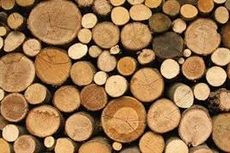 Ngày 3/12/2019, đấu giá lô tài sản tịch thu tại tỉnh Thanh Hóa