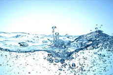 Ảnh chỉ mang tính minh họa. Nguồn Internet