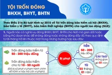 Ngành tòa án hướng dẫn thi hành Bộ luật Hình sự về tội trốn đóng BHXH