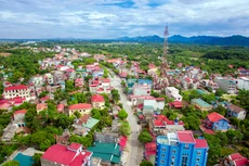 Ngày 14/1/2020, đấu giá quyền sử dụng đất tại huyện Cẩm Khê, tỉnh Phú Thọ