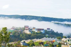 Ngày 20/12/2019, đấu giá quyền sử dụng đất tại TX. Điện Bàn, TP. Hội An, tỉnh Quảng Nam và TP.Đà Lạt, tỉnh Lâm Đồng