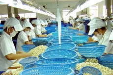 Ngày 12/12/2019, đấu giá máy móc thiết bị của Công ty Cổ phần xuất khẩu nông sản Ninh Thuận tại tỉnh Ninh Thuận