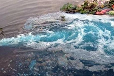 Ảnh chỉ mang tính minh họa. Nguồn Internet