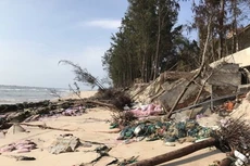 Ảnh chỉ mang tính minh họa. Nguồn Internet