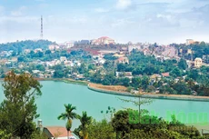 Ngày 5/12/2019, đấu giá quyền sử dụng đất tại TX. Gia Nghĩa, tỉnh Đắk Nông