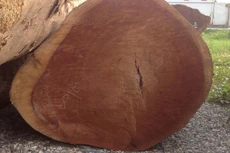 Ngày 21/11/2019, đấu giá hàng hóa tịch thu sung quỹ tại tỉnh Quảng Bình