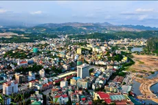 Ngày 29/11/2019, đấu giá quyền sử dụng đất tại thành phố Hạ Long, tỉnh Quảng Ninh