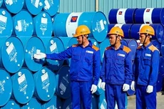 Ngày 20/12/2019, đấu giá thanh lý các mặt hàng dầu mỡ nhờn tại TP. Hải Phòng 